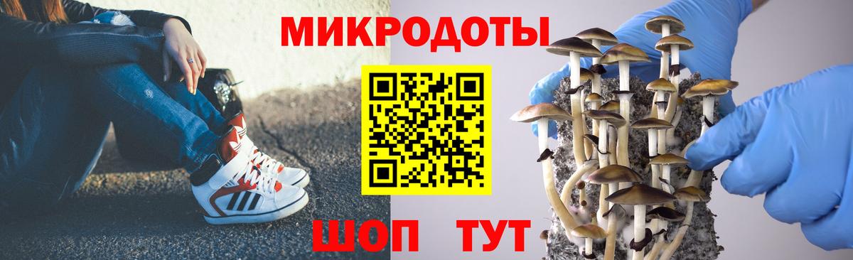 Кунгур  Галлюциногенные грибы GOLDEN TEACHER  Вход с VPN 
